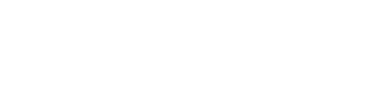 HSD Logo